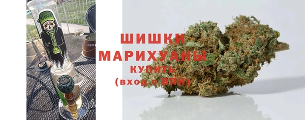 хмурый Гусев