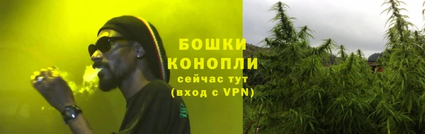 дмт Горно-Алтайск