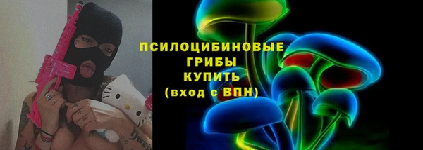 дмт Горно-Алтайск