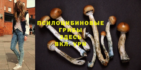 jwh Горняк