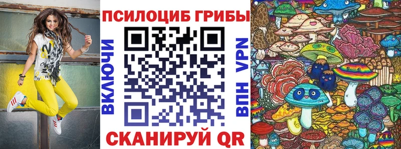 Галлюциногенные грибы MAGIC MUSHROOMS  Купить закладки  Буй 