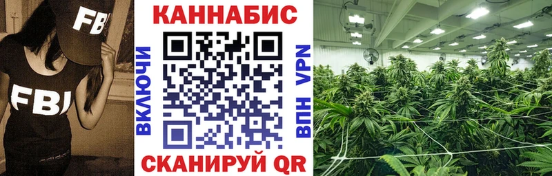Купить где  Буй  Шишки марихуана Bruce Banner 